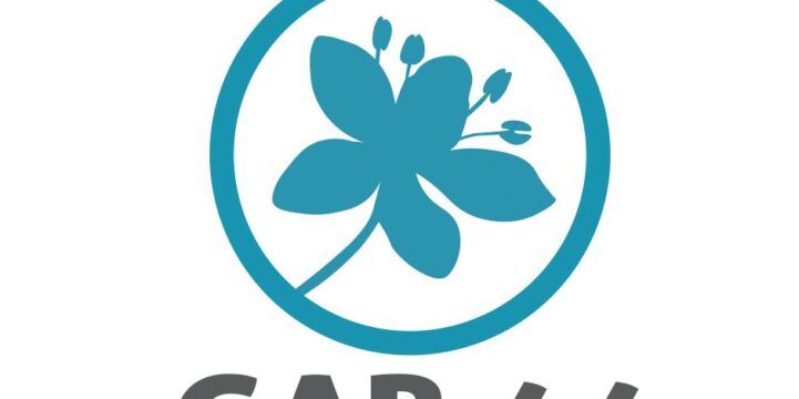 LOGO GAB 44 – Camille Villard