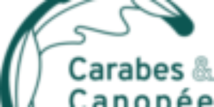 Logo-Carab&Canop-00208 – Carabesetcanopee
