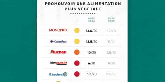 RAC_rapport GMS_2025_visuel_alimentation végétale