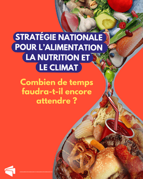 SNANC lettre ouverte 117