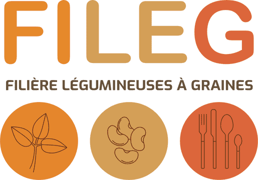 fileg_logo_baseline_bis_sombre – FILEG Occitanie
